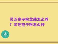 灵芝孢子粉盆栽怎么养？灵芝孢子粉怎么种
