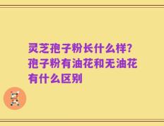 灵芝孢子粉长什么样？孢子粉有油花和无油花有什么区别