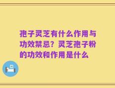 孢子灵芝有什么作用与功效禁忌？灵芝孢子粉的功效和作用是什么