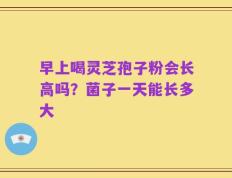 早上喝灵芝孢子粉会长高吗？菌子一天能长多大