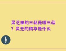 灵芝里的三萜是哪三萜？灵芝的精华是什么