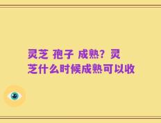 灵芝 孢子 成熟？灵芝什么时候成熟可以收