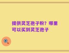 提供灵芝孢子粉？哪里可以买到灵芝孢子