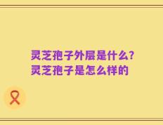 灵芝孢子外层是什么？灵芝孢子是怎么样的