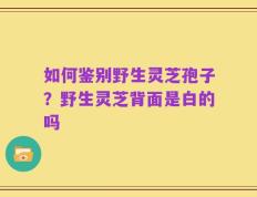 如何鉴别野生灵芝孢子？野生灵芝背面是白的吗