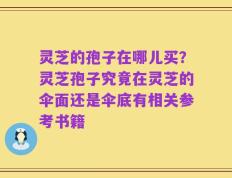 灵芝的孢子在哪儿买？灵芝孢子究竟在灵芝的伞面还是伞底有相关参考书籍