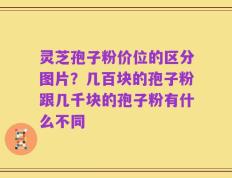 灵芝孢子粉价位的区分图片？几百块的孢子粉跟几千块的孢子粉有什么不同