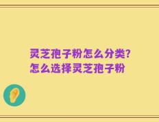 灵芝孢子粉怎么分类？怎么选择灵芝孢子粉