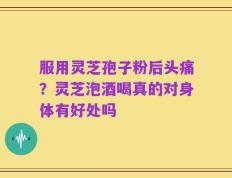 服用灵芝孢子粉后头痛？灵芝泡酒喝真的对身体有好处吗