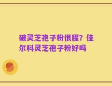 破灵芝孢子粉很腥？佳尔科灵芝孢子粉好吗