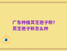 广东种植灵芝孢子粉？灵芝孢子粉怎么种