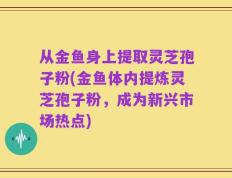 从金鱼身上提取灵芝孢子粉(金鱼体内提炼灵芝孢子粉，成为新兴市场热点)