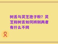 树舌与灵芝孢子粉？灵芝和树舌如何辨别两者有什么不同