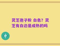 灵芝孢子粉 白色？灵芝有白边是成熟的吗