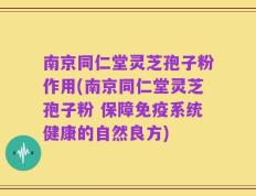 南京同仁堂灵芝孢子粉作用(南京同仁堂灵芝孢子粉 保障免疫系统健康的自然良方)