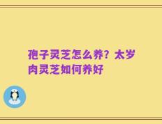 孢子灵芝怎么养？太岁肉灵芝如何养好