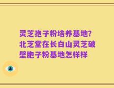 灵芝孢子粉培养基地？北芝堂在长白山灵芝破壁胞子粉基地怎样样