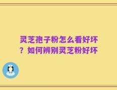 灵芝孢子粉怎么看好坏？如何辨别灵芝粉好坏