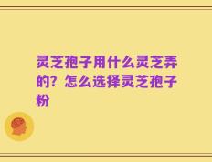 灵芝孢子用什么灵芝弄的？怎么选择灵芝孢子粉