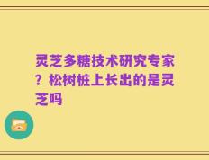 灵芝多糖技术研究专家？松树桩上长出的是灵芝吗