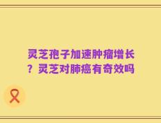 灵芝孢子加速肿瘤增长？灵芝对肺癌有奇效吗