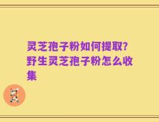 灵芝孢子粉如何提取？野生灵芝孢子粉怎么收集