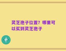 灵芝孢子位置？哪里可以买到灵芝孢子