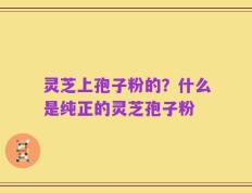 灵芝上孢子粉的？什么是纯正的灵芝孢子粉