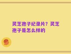 灵芝孢子纪录片？灵芝孢子是怎么样的