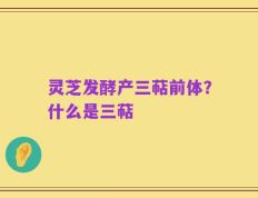 灵芝发酵产三萜前体？什么是三萜
