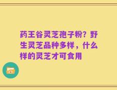 药王谷灵芝孢子粉？野生灵芝品种多样，什么样的灵芝才可食用