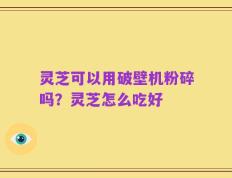 灵芝可以用破壁机粉碎吗？灵芝怎么吃好