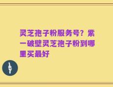 灵芝孢子粉服务号？紫一破壁灵芝孢子粉到哪里买最好
