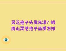 灵芝孢子头发光泽？峨眉山灵芝孢子品质怎样