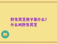 野生灵芝孢子是什么？什么叫野生灵芝