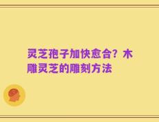 灵芝孢子加快愈合？木雕灵芝的雕刻方法