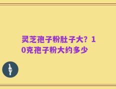 灵芝孢子粉肚子大？10克孢子粉大约多少