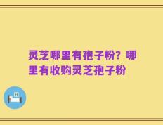灵芝哪里有孢子粉？哪里有收购灵芝孢子粉