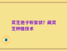 灵芝孢子粉絮状？藏灵芝种植技术