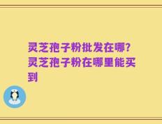 灵芝孢子粉批发在哪？灵芝孢子粉在哪里能买到