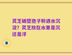 灵芝破壁孢子粉遇水沉淀？灵芝放在水里是沉还是浮