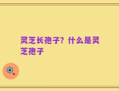 灵芝长孢子？什么是灵芝孢子