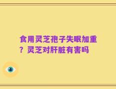 食用灵芝孢子失眠加重？灵芝对肝脏有害吗