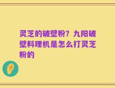 灵芝的破壁粉？九阳破壁料理机是怎么打灵芝粉的