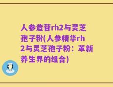 人参造苷rh2与灵芝孢子粉(人参精华rh2与灵芝孢子粉：革新养生界的组合)