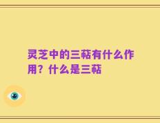 灵芝中的三萜有什么作用？什么是三萜