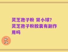 灵芝孢子粉 肾小球？灵芝孢子粉胶囊有副作用吗