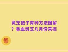 灵芝孢子育种方法图解？香血灵芝几月份采摘
