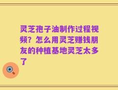 灵芝孢子油制作过程视频？怎么用灵芝赚钱朋友的种植基地灵芝太多了
