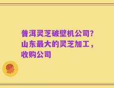 普洱灵芝破壁机公司？山东最大的灵芝加工，收购公司